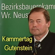 Kammertag Wr. Neustadt in Gutenstein