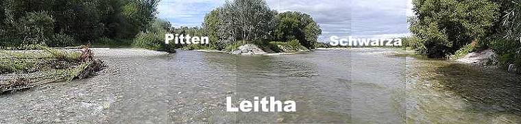 Natur pur: Naturlehrpfad am Leithaursprung in Haderswrth!